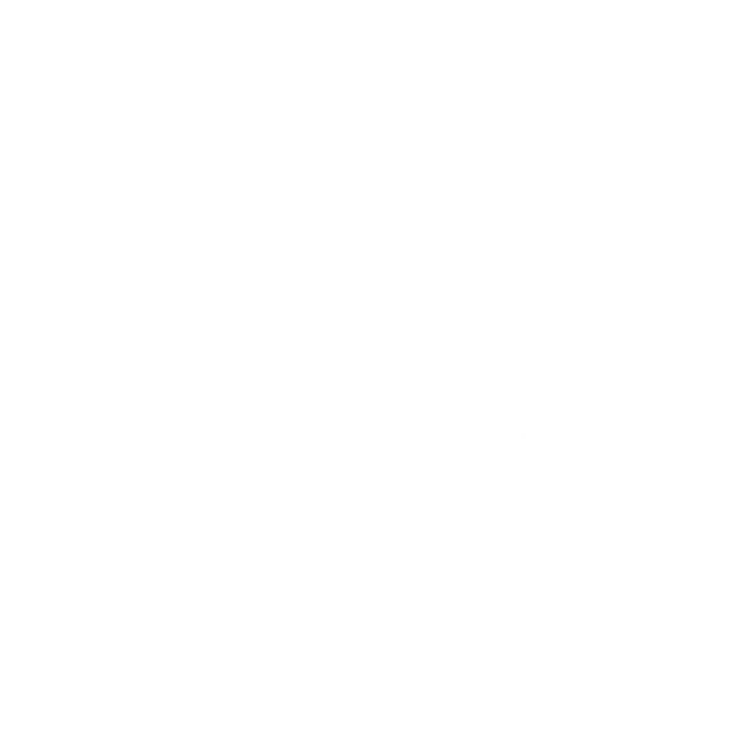 Malik Group